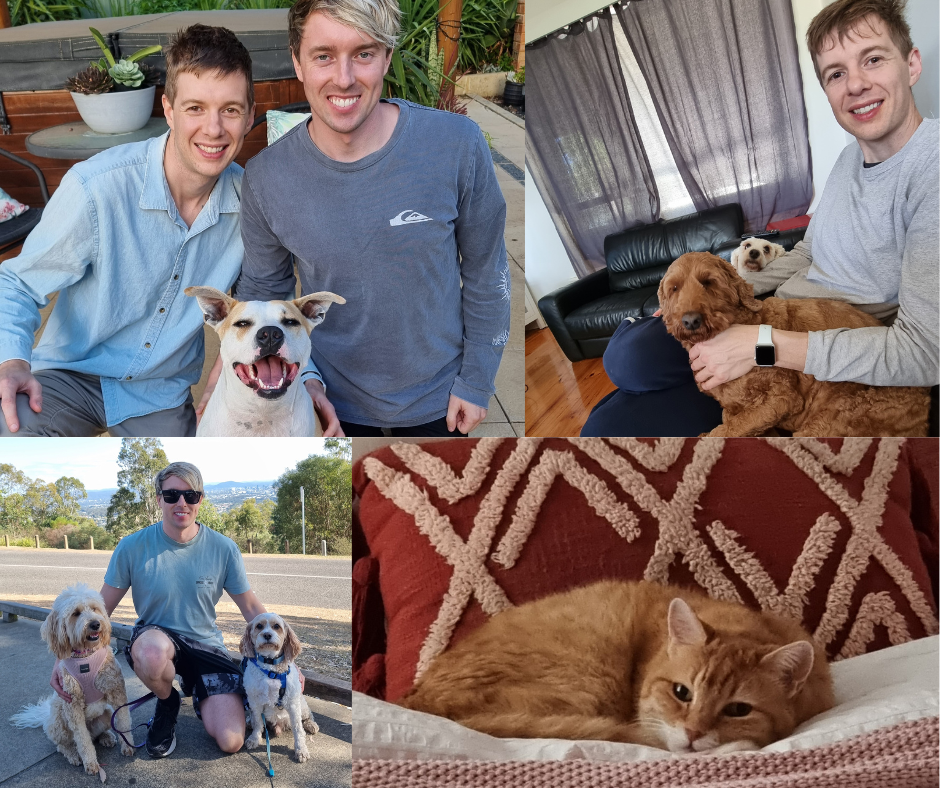 Pics from our various housesits